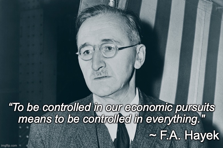 Hayek on Economic Control | “To be controlled in our economic pursuits
means to be controlled in everything."; ~ F.A. Hayek | image tagged in f a hayek | made w/ Imgflip meme maker