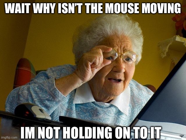 Grandma Finds The Internet Meme | WAIT WHY ISN’T THE MOUSE MOVING; IM NOT HOLDING ON TO IT | image tagged in memes,grandma finds the internet | made w/ Imgflip meme maker