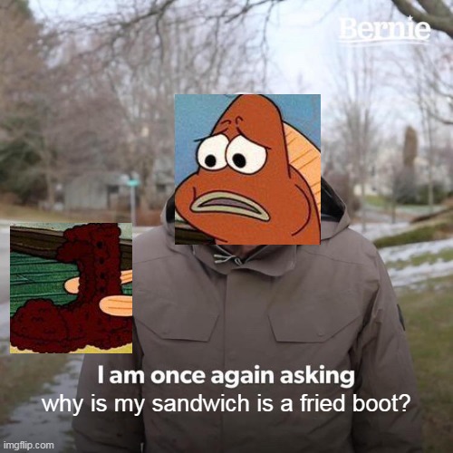 a sandwich | why is my sandwich is a fried boot? | image tagged in memes,bernie i am once again asking for your support | made w/ Imgflip meme maker