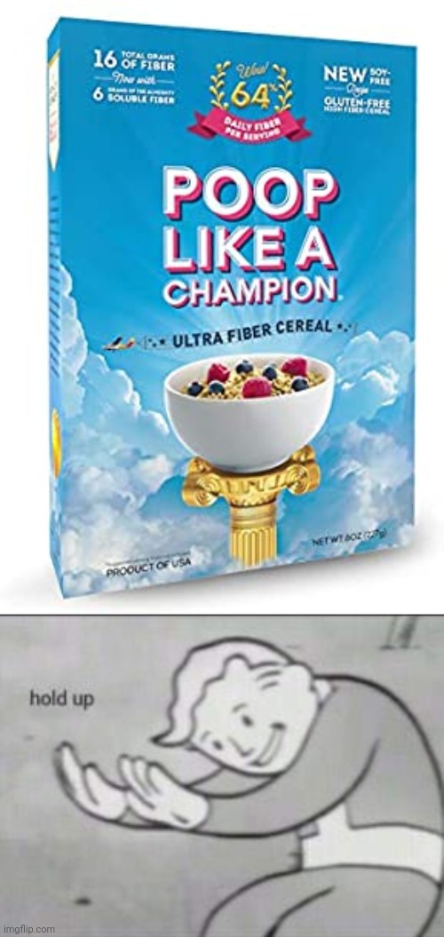 Yes.....this is a thing | image tagged in fallout hold up | made w/ Imgflip meme maker