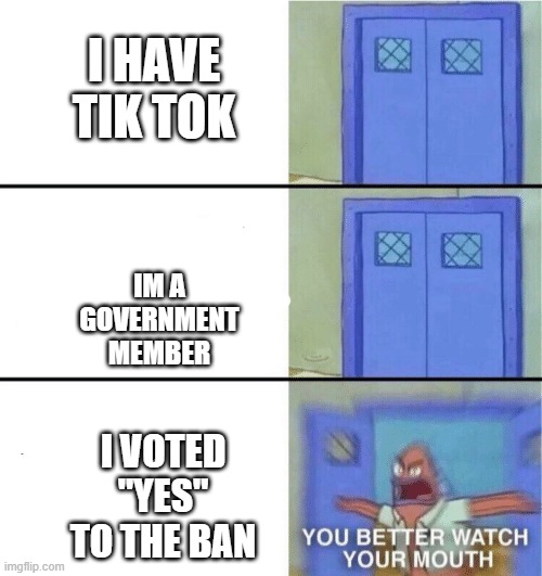 You better watch your mouth | I HAVE TIK TOK; IM A GOVERNMENT MEMBER; I VOTED "YES" TO THE BAN | image tagged in you better watch your mouth | made w/ Imgflip meme maker
