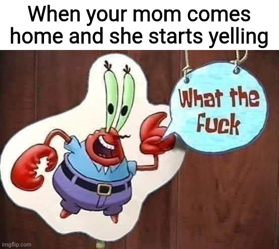 Mr. Krabs WTF | When your mom comes home and she starts yelling | image tagged in mr krabs wtf,wtf,mr krabs,spongebob,memes,lol | made w/ Imgflip meme maker