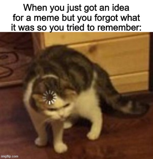 What was the meme i was going to make again? | When you just got an idea for a meme but you forgot what it was so you tried to remember: | image tagged in loading cat,funny,thinking,meme ideas | made w/ Imgflip meme maker