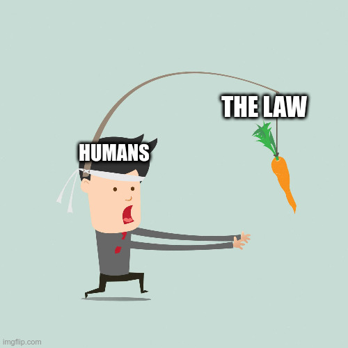 carrot | THE LAW; HUMANS | image tagged in carrot | made w/ Imgflip meme maker