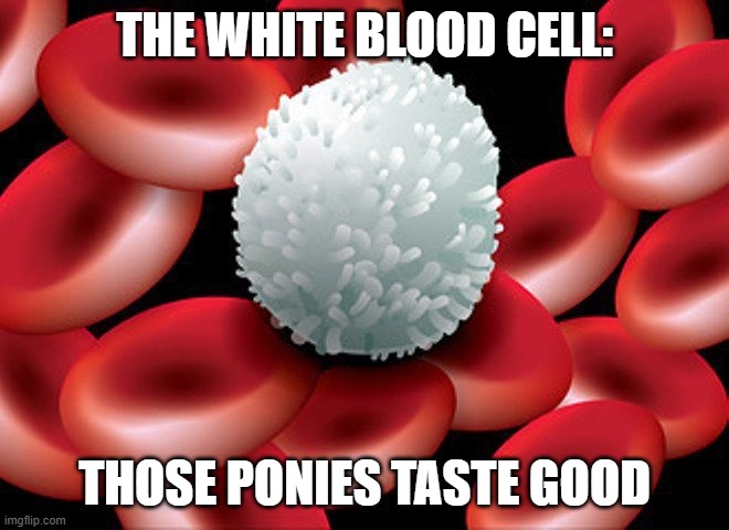 https://imgflip.com/i/4cctcn#com5570231 | THE WHITE BLOOD CELL:; THOSE PONIES TASTE GOOD | image tagged in white blood cells | made w/ Imgflip meme maker