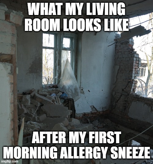 So much for having termites ... | WHAT MY LIVING ROOM LOOKS LIKE; AFTER MY FIRST MORNING ALLERGY SNEEZE | image tagged in funny,sneeze,allergies,funny memes | made w/ Imgflip meme maker