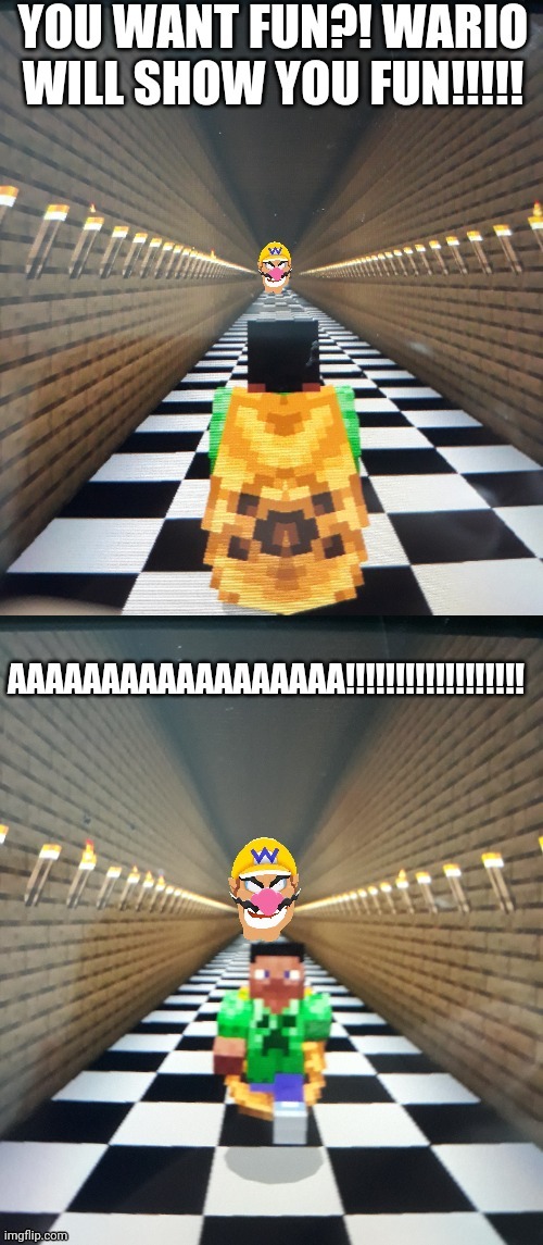 Every copy of minecraft is personalized! | image tagged in memes,funny,mario,minecraft,wario | made w/ Imgflip meme maker
