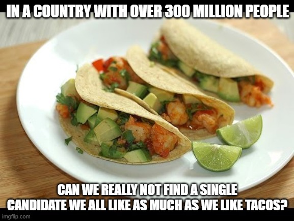 Tacos For President | IN A COUNTRY WITH OVER 300 MILLION PEOPLE; CAN WE REALLY NOT FIND A SINGLE CANDIDATE WE ALL LIKE AS MUCH AS WE LIKE TACOS? | image tagged in tacos for president | made w/ Imgflip meme maker