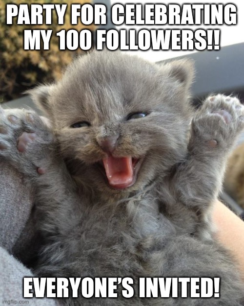 UwU | PARTY FOR CELEBRATING MY 100 FOLLOWERS!! EVERYONE’S INVITED! | image tagged in yay kitty | made w/ Imgflip meme maker