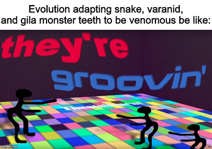 Groovin evolution | Evolution adapting snake, varanid, and gila monster teeth to be venomous be like: | image tagged in they're groovin,memes,animals,snakes,lizards,evolution | made w/ Imgflip meme maker