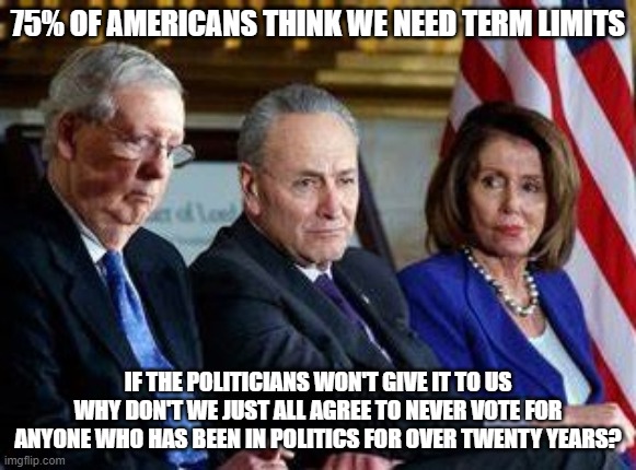 Criminals | 75% OF AMERICANS THINK WE NEED TERM LIMITS; IF THE POLITICIANS WON'T GIVE IT TO US WHY DON'T WE JUST ALL AGREE TO NEVER VOTE FOR ANYONE WHO HAS BEEN IN POLITICS FOR OVER TWENTY YEARS? | image tagged in criminals | made w/ Imgflip meme maker