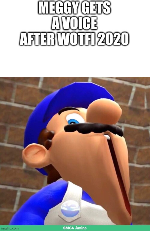 smg4's face | MEGGY GETS A VOICE AFTER WOTFI 2020 | image tagged in smg4's face | made w/ Imgflip meme maker