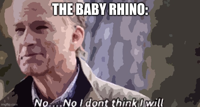 no i don't think i will | THE BABY RHINO: | image tagged in no i don't think i will | made w/ Imgflip meme maker