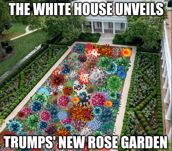 Hoaxes optional! | THE WHITE HOUSE UNVEILS; TRUMPS' NEW ROSE GARDEN | image tagged in trump,garden | made w/ Imgflip meme maker
