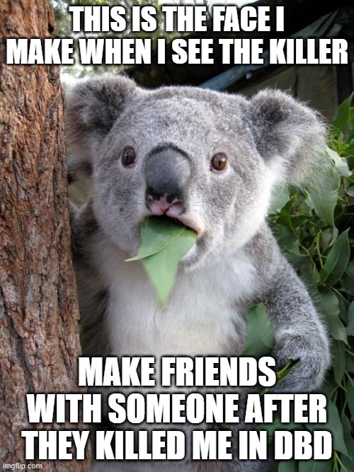 Surprised Koala | THIS IS THE FACE I MAKE WHEN I SEE THE KILLER; MAKE FRIENDS WITH SOMEONE AFTER THEY KILLED ME IN DBD | image tagged in memes,surprised koala | made w/ Imgflip meme maker