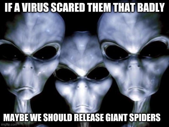 Here it comes | IF A VIRUS SCARED THEM THAT BADLY; MAYBE WE SHOULD RELEASE GIANT SPIDERS | image tagged in angry aliens,giant spiders,here it comes,stop making aliens angry,death to humans,you will be conquered | made w/ Imgflip meme maker