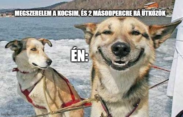 4cd4zj.jpg