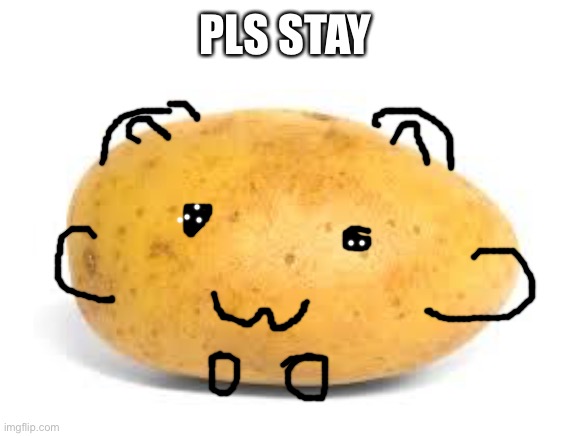 Potato | PLS STAY | image tagged in potato | made w/ Imgflip meme maker