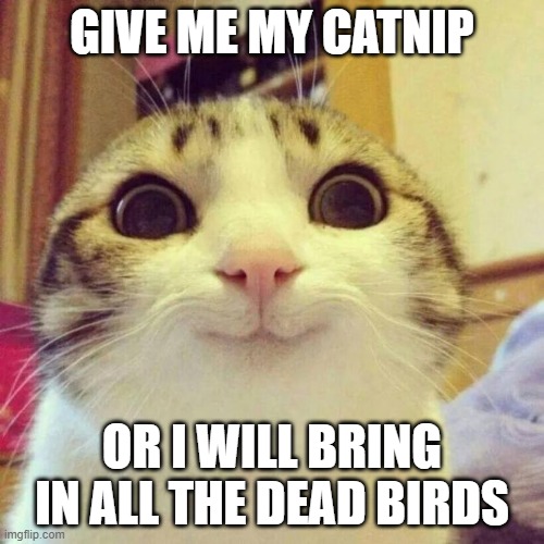 Smiling Cat | GIVE ME MY CATNIP; OR I WILL BRING IN ALL THE DEAD BIRDS | image tagged in memes,smiling cat | made w/ Imgflip meme maker