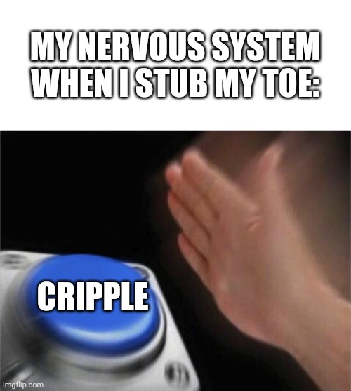 It's true doe | MY NERVOUS SYSTEM WHEN I STUB MY TOE:; CRIPPLE | image tagged in memes,blank nut button | made w/ Imgflip meme maker