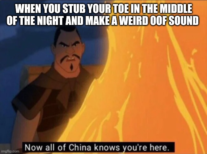 Now all of China knows you're here | WHEN YOU STUB YOUR TOE IN THE MIDDLE OF THE NIGHT AND MAKE A WEIRD OOF SOUND | image tagged in now all of china knows you're here | made w/ Imgflip meme maker