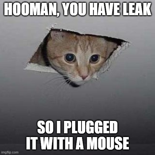 Ceiling Cat Meme | HOOMAN, YOU HAVE LEAK; SO I PLUGGED IT WITH A MOUSE | image tagged in memes,ceiling cat | made w/ Imgflip meme maker