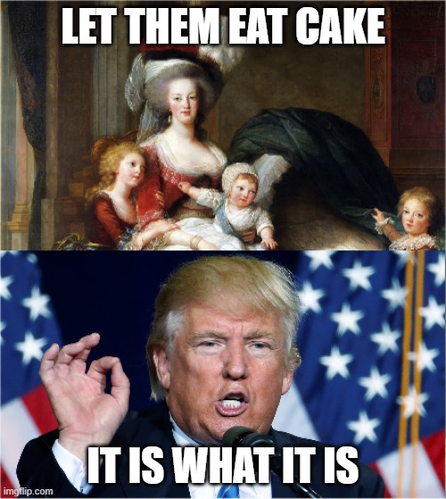 Marie Antoinette - Trump | LET THEM EAT CAKE; IT IS WHAT IT IS | image tagged in marie antoinette - trump | made w/ Imgflip meme maker