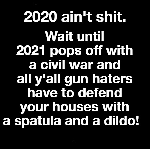 2020 ain't shit. | Wait until 2021 pops off with a civil war and all y'all gun haters have to defend your houses with a spatula and a dildo! 2020 ain't shit. | image tagged in loads shotgun with malicious intent,gun haters,civil war,dildos,triggering liberals,gun rights | made w/ Imgflip meme maker