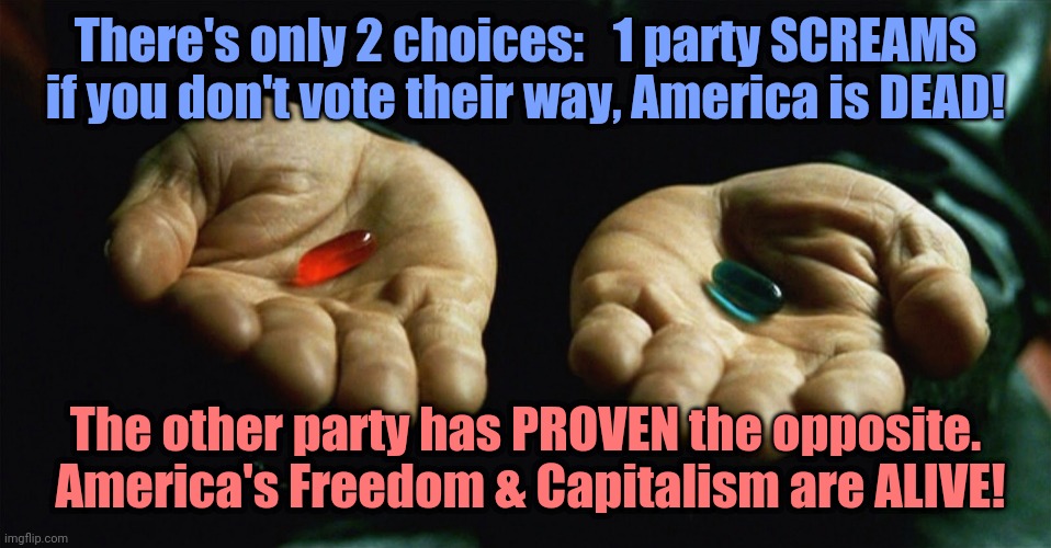 Two Presidential Choices - Dead or Alive America | There's only 2 choices:   1 party SCREAMS if you don't vote their way, America is DEAD! The other party has PROVEN the opposite.  America's Freedom & Capitalism are ALIVE! | image tagged in red pill blue pill | made w/ Imgflip meme maker