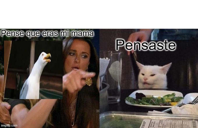 la gaviota | Pense que eras mi mama; Pensaste | image tagged in memes,woman yelling at cat | made w/ Imgflip meme maker