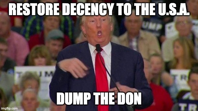 Trump disabled | RESTORE DECENCY TO THE U.S.A. DUMP THE DON | image tagged in trump disabled | made w/ Imgflip meme maker