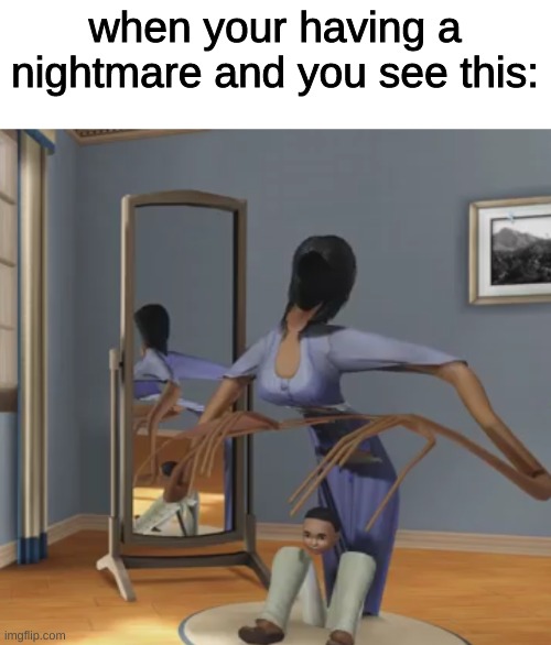 when your having a nightmare and you see this: | image tagged in sims 3 glitch | made w/ Imgflip meme maker