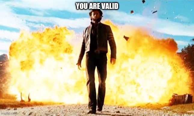 YOU ARE VALID | made w/ Imgflip meme maker
