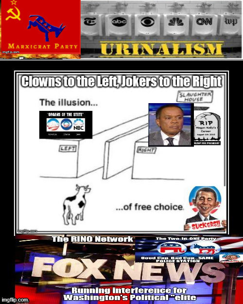 Juanita williams Fox News Illusion | image tagged in fox news,fake media,mediaocracy,biden,election | made w/ Imgflip meme maker