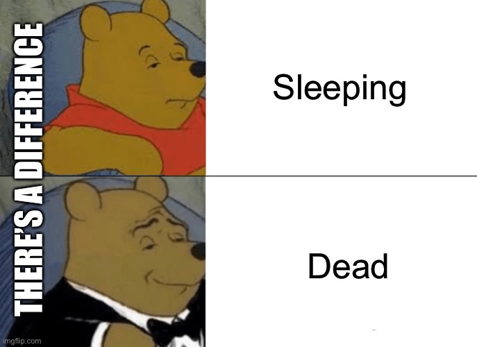 WTH? | Sleeping; THERE’S A DIFFERENCE; Dead | image tagged in memes,tuxedo winnie the pooh | made w/ Imgflip meme maker
