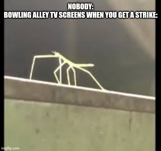 Stickbug | NOBODY:
BOWLING ALLEY TV SCREENS WHEN YOU GET A STRIKE: | image tagged in stickbug | made w/ Imgflip meme maker