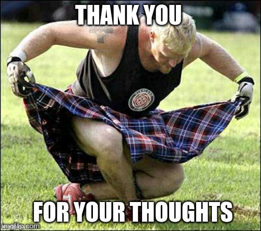 Bow | THANK YOU FOR YOUR THOUGHTS | image tagged in bow | made w/ Imgflip meme maker