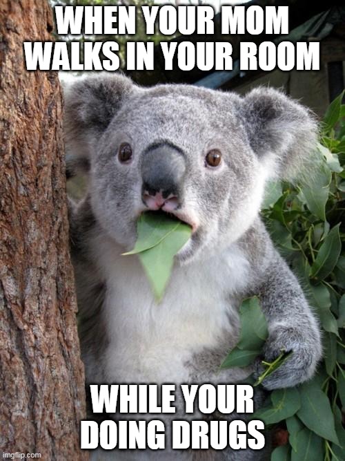 koality meme | WHEN YOUR MOM WALKS IN YOUR ROOM; WHILE YOUR DOING DRUGS | image tagged in memes,surprised koala | made w/ Imgflip meme maker
