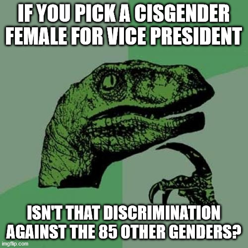 Philosoraptor Meme | IF YOU PICK A CISGENDER FEMALE FOR VICE PRESIDENT ISN'T THAT DISCRIMINATION AGAINST THE 85 OTHER GENDERS? | image tagged in memes,philosoraptor | made w/ Imgflip meme maker