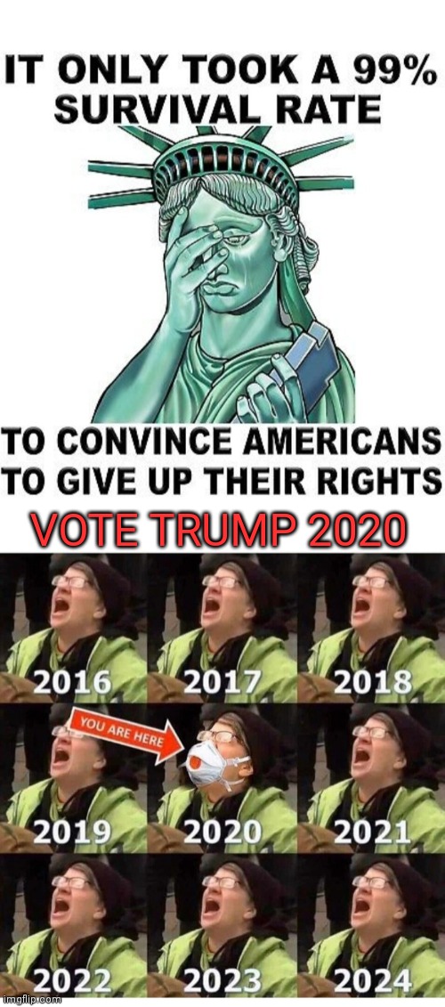 VOTE TRUMP 2020 | image tagged in triggered liberal,losers | made w/ Imgflip meme maker