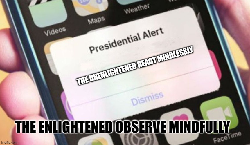 Good Government | THE UNENLIGHTENED REACT MINDLESSLY; THE ENLIGHTENED OBSERVE MINDFULLY | image tagged in presidential alert,good government | made w/ Imgflip meme maker