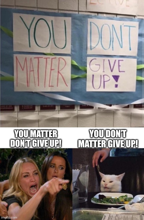 Oof | YOU DON’T MATTER GIVE UP! YOU MATTER DON’T GIVE UP! | image tagged in memes,woman yelling at cat,funny | made w/ Imgflip meme maker