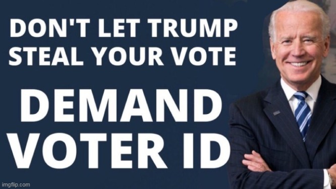 Voter ID Joe | image tagged in voter fraud,politics | made w/ Imgflip meme maker