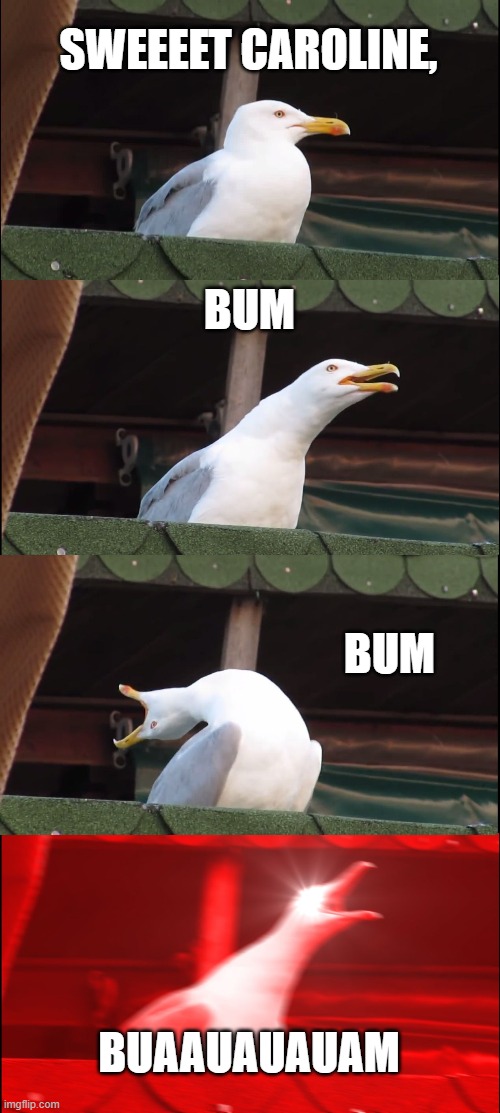 Inhaling Seagull | SWEEEET CAROLINE, BUM; BUM; BUAAUAUAUAM | image tagged in memes,inhaling seagull | made w/ Imgflip meme maker