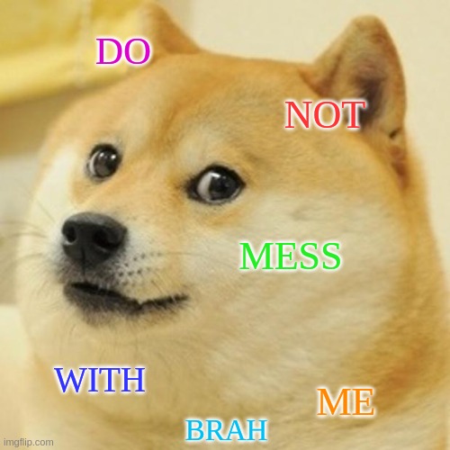 Do not mess with doge | DO; NOT; MESS; WITH; ME; BRAH | image tagged in memes | made w/ Imgflip meme maker