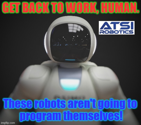 Employment Options | GET BACK TO WORK, HUMAN. These robots aren't going to 
program themselves! | image tagged in optional employment | made w/ Imgflip meme maker