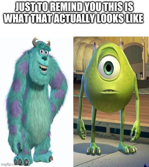 JUST TO REMIND YOU THIS IS WHAT THAT ACTUALLY LOOKS LIKE | image tagged in blank white template,memes,sully wazowski,funny,mike wazowski | made w/ Imgflip meme maker