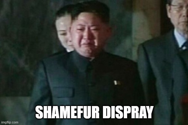Kim Jong Un Sad Meme | SHAMEFUR DISPRAY | image tagged in memes,kim jong un sad | made w/ Imgflip meme maker