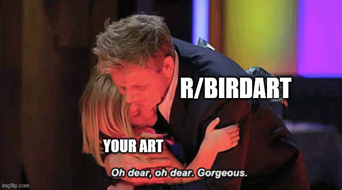 R/BIRDART; YOUR ART | made w/ Imgflip meme maker