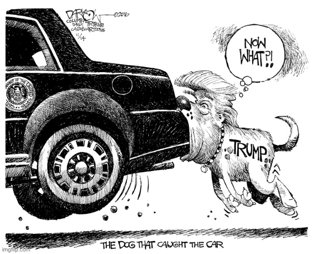 see hes more bite than bark maga | image tagged in trump catches car,maga,dog,donald trump is an idiot,trump is a moron,trump is an asshole | made w/ Imgflip meme maker